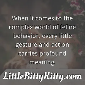 When it comes to the complex world of feline behavior, every little gesture and action carries profound meaning.