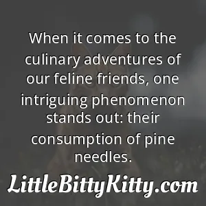 When it comes to the culinary adventures of our feline friends, one intriguing phenomenon stands out: their consumption of pine needles.