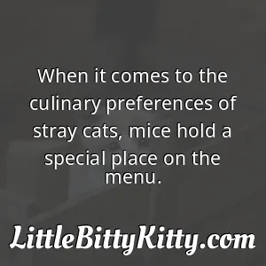 When it comes to the culinary preferences of stray cats, mice hold a special place on the menu.