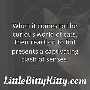When it comes to the curious world of cats, their reaction to foil presents a captivating clash of senses.