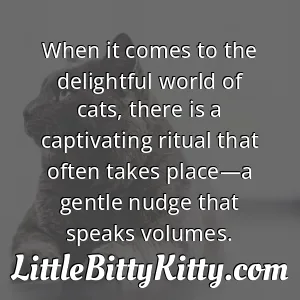 When it comes to the delightful world of cats, there is a captivating ritual that often takes place—a gentle nudge that speaks volumes.