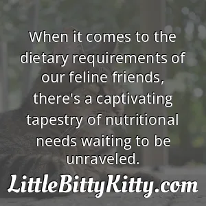 When it comes to the dietary requirements of our feline friends, there's a captivating tapestry of nutritional needs waiting to be unraveled.