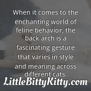 When it comes to the enchanting world of feline behavior, the back arch is a fascinating gesture that varies in style and meaning across different cats.