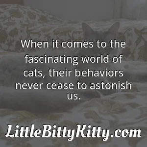 When it comes to the fascinating world of cats, their behaviors never cease to astonish us.
