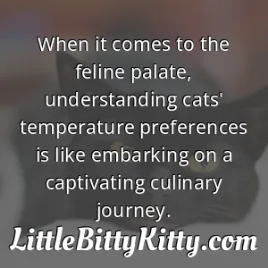 When it comes to the feline palate, understanding cats' temperature preferences is like embarking on a captivating culinary journey.