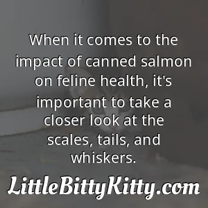 When it comes to the impact of canned salmon on feline health, it's important to take a closer look at the scales, tails, and whiskers.