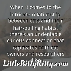 When it comes to the intricate relationship between cats and their hair-pulling habits, there's an undeniable curious connection that captivates both cat owners and researchers alike.