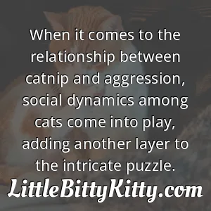 When it comes to the relationship between catnip and aggression, social dynamics among cats come into play, adding another layer to the intricate puzzle.