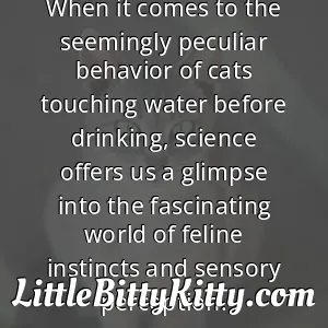 When it comes to the seemingly peculiar behavior of cats touching water before drinking, science offers us a glimpse into the fascinating world of feline instincts and sensory perception.
