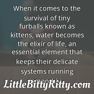 When it comes to the survival of tiny furballs known as kittens, water becomes the elixir of life, an essential element that keeps their delicate systems running smoothly.