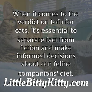 When it comes to the verdict on tofu for cats, it's essential to separate fact from fiction and make informed decisions about our feline companions' diet.