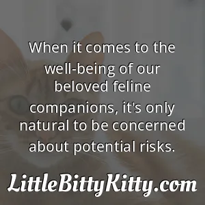 When it comes to the well-being of our beloved feline companions, it's only natural to be concerned about potential risks.