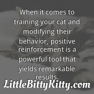 When it comes to training your cat and modifying their behavior, positive reinforcement is a powerful tool that yields remarkable results.