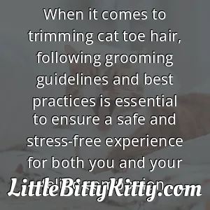 When it comes to trimming cat toe hair, following grooming guidelines and best practices is essential to ensure a safe and stress-free experience for both you and your feline companion.