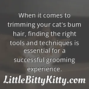 When it comes to trimming your cat's bum hair, finding the right tools and techniques is essential for a successful grooming experience.