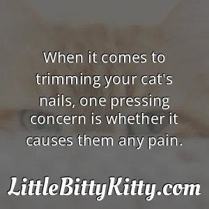 When it comes to trimming your cat's nails, one pressing concern is whether it causes them any pain.