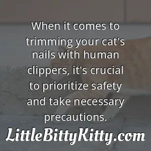 When it comes to trimming your cat's nails with human clippers, it's crucial to prioritize safety and take necessary precautions.
