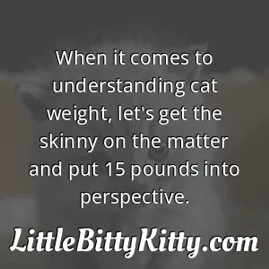 When it comes to understanding cat weight, let's get the skinny on the matter and put 15 pounds into perspective.