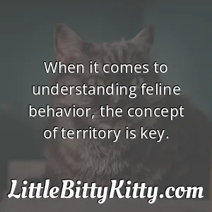 When it comes to understanding feline behavior, the concept of territory is key.