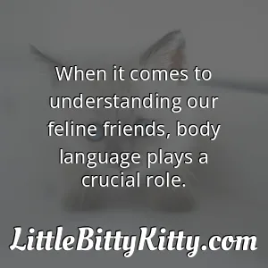 When it comes to understanding our feline friends, body language plays a crucial role.