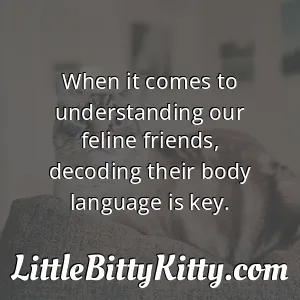 When it comes to understanding our feline friends, decoding their body language is key.