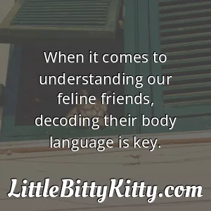 When it comes to understanding our feline friends, decoding their body language is key.