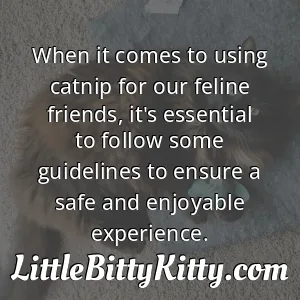 When it comes to using catnip for our feline friends, it's essential to follow some guidelines to ensure a safe and enjoyable experience.