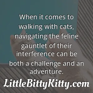When it comes to walking with cats, navigating the feline gauntlet of their interference can be both a challenge and an adventure.