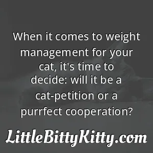 When it comes to weight management for your cat, it's time to decide: will it be a cat-petition or a purrfect cooperation?