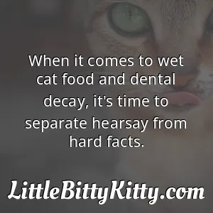 When it comes to wet cat food and dental decay, it's time to separate hearsay from hard facts.
