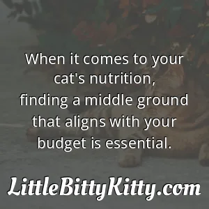 When it comes to your cat's nutrition, finding a middle ground that aligns with your budget is essential.