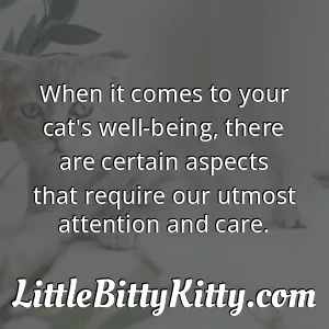 When it comes to your cat's well-being, there are certain aspects that require our utmost attention and care.