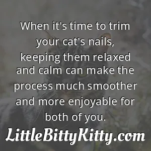 When it's time to trim your cat's nails, keeping them relaxed and calm can make the process much smoother and more enjoyable for both of you.
