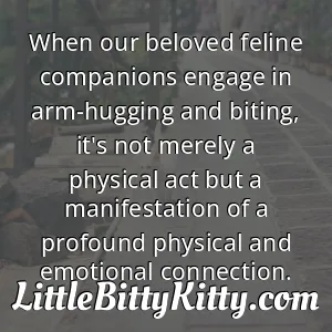 When our beloved feline companions engage in arm-hugging and biting, it's not merely a physical act but a manifestation of a profound physical and emotional connection.