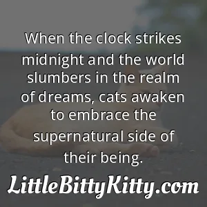 When the clock strikes midnight and the world slumbers in the realm of dreams, cats awaken to embrace the supernatural side of their being.