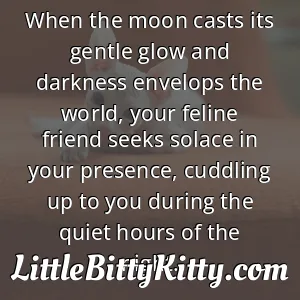When the moon casts its gentle glow and darkness envelops the world, your feline friend seeks solace in your presence, cuddling up to you during the quiet hours of the night.