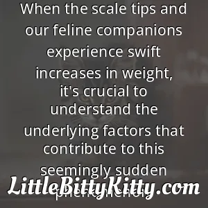When the scale tips and our feline companions experience swift increases in weight, it's crucial to understand the underlying factors that contribute to this seemingly sudden phenomenon.