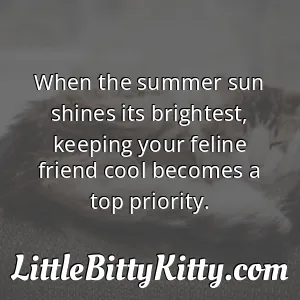 When the summer sun shines its brightest, keeping your feline friend cool becomes a top priority.