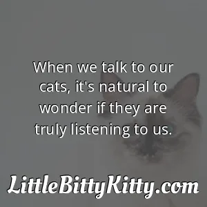 When we talk to our cats, it's natural to wonder if they are truly listening to us.