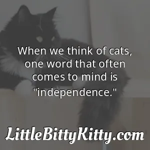 When we think of cats, one word that often comes to mind is "independence."