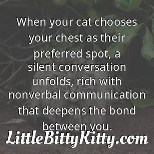 When your cat chooses your chest as their preferred spot, a silent conversation unfolds, rich with nonverbal communication that deepens the bond between you.