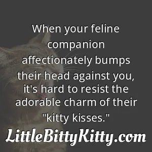 When your feline companion affectionately bumps their head against you, it's hard to resist the adorable charm of their "kitty kisses."