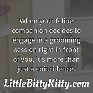 When your feline companion decides to engage in a grooming session right in front of you, it's more than just a coincidence.
