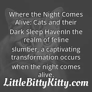 Where the Night Comes Alive: Cats and their Dark Sleep HavenIn the realm of feline slumber, a captivating transformation occurs when the night comes alive.