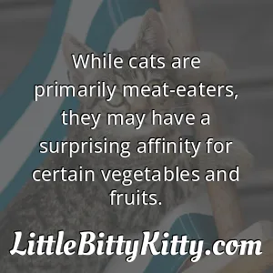 While cats are primarily meat-eaters, they may have a surprising affinity for certain vegetables and fruits.