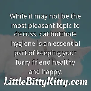 While it may not be the most pleasant topic to discuss, cat butthole hygiene is an essential part of keeping your furry friend healthy and happy.