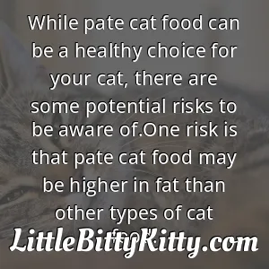While pate cat food can be a healthy choice for your cat, there are some potential risks to be aware of.One risk is that pate cat food may be higher in fat than other types of cat food.