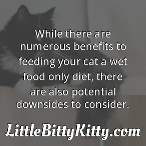While there are numerous benefits to feeding your cat a wet food only diet, there are also potential downsides to consider.