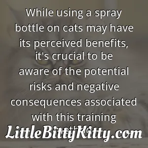 While using a spray bottle on cats may have its perceived benefits, it's crucial to be aware of the potential risks and negative consequences associated with this training method.