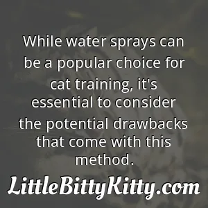 While water sprays can be a popular choice for cat training, it's essential to consider the potential drawbacks that come with this method.
